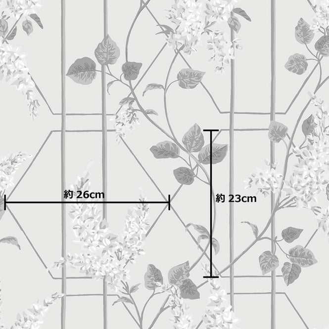 サイズ参照画像