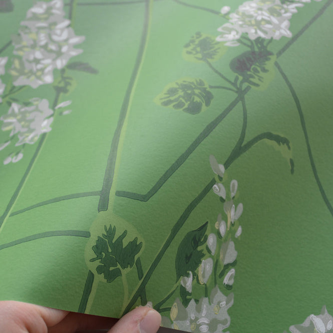 Cole&son / BOTANICAL BOTANICA 115/5016