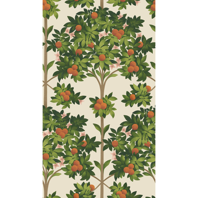 Cole&Son / SEVILLE / ORANGE BLOSSOM 117/1001(MANOR HOUSE)