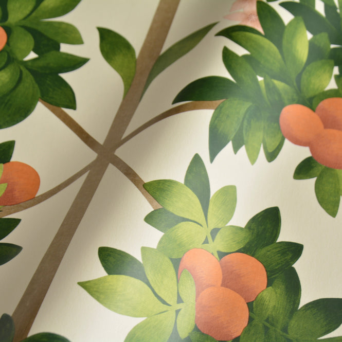 Cole&Son / SEVILLE / ORANGE BLOSSOM 117/1001(MANOR HOUSE)