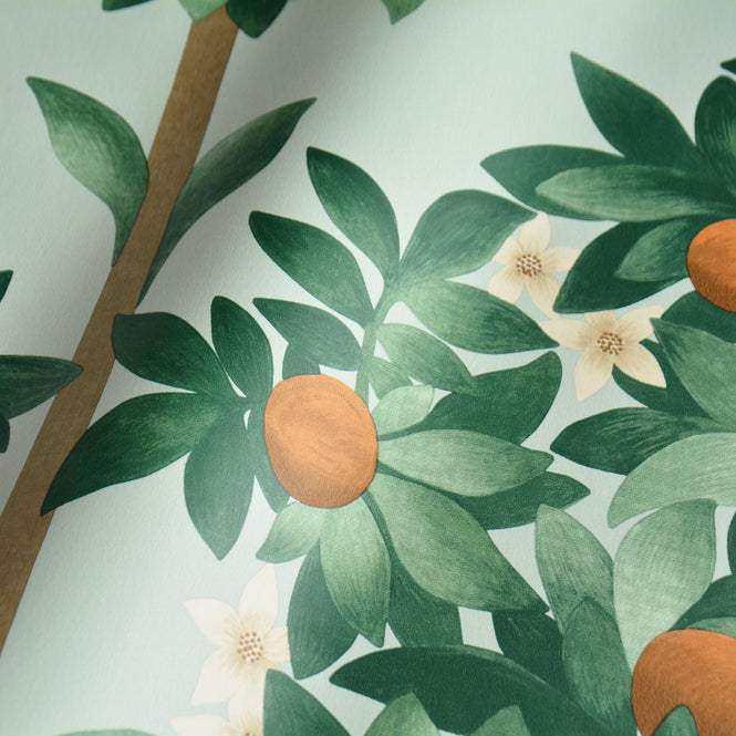 Cole&Son / SEVILLE / ORANGE BLOSSOM 117/1004
