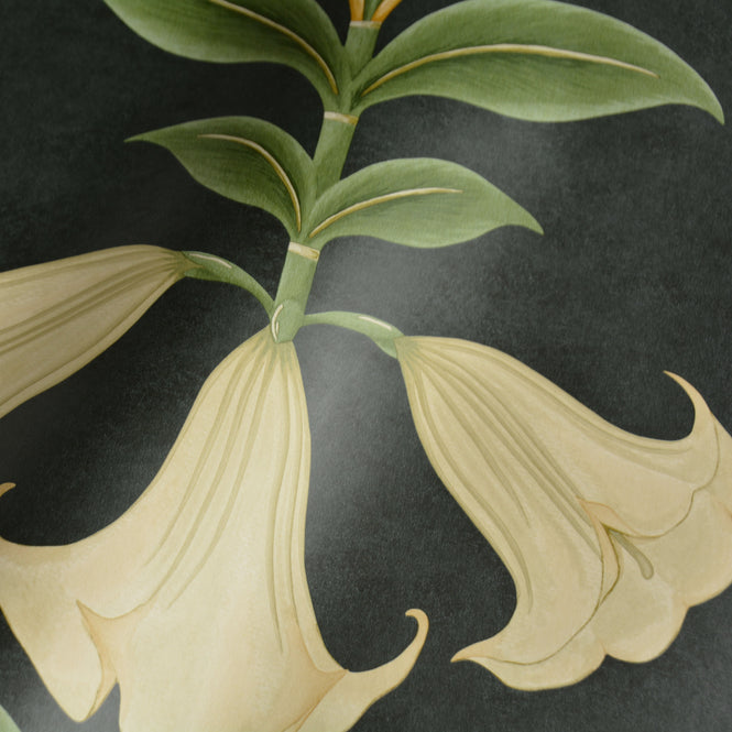 Cole&Son / SEVILLE / ANGEL'S TRUMPET 117/3006