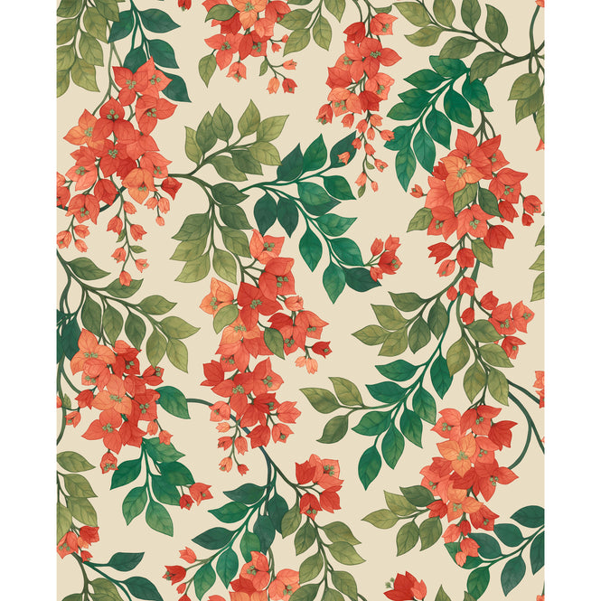 Cole&Son / SEVILLE / BOUGAINVILLEA 117/6016