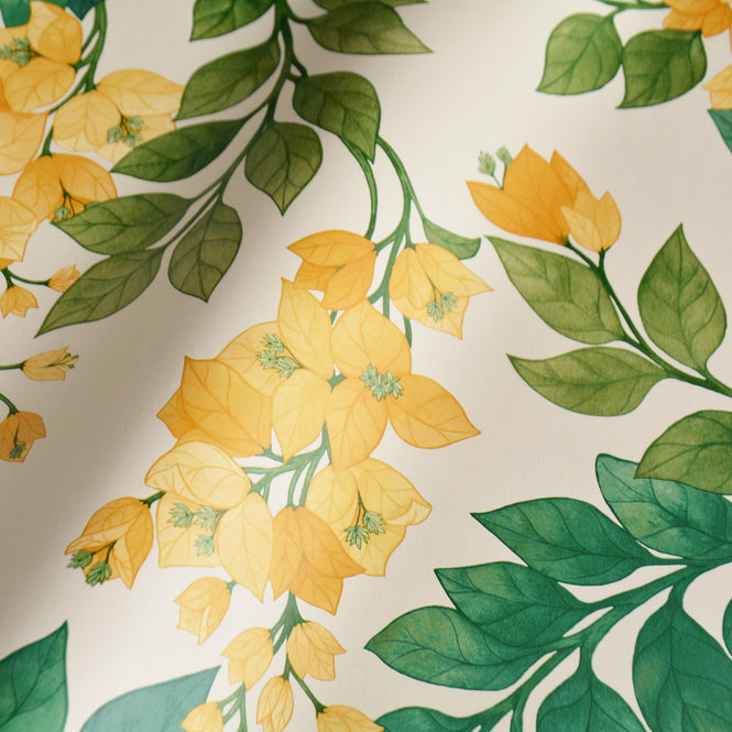 Cole&Son / SEVILLE / BOUGAINVILLEA 117/6018