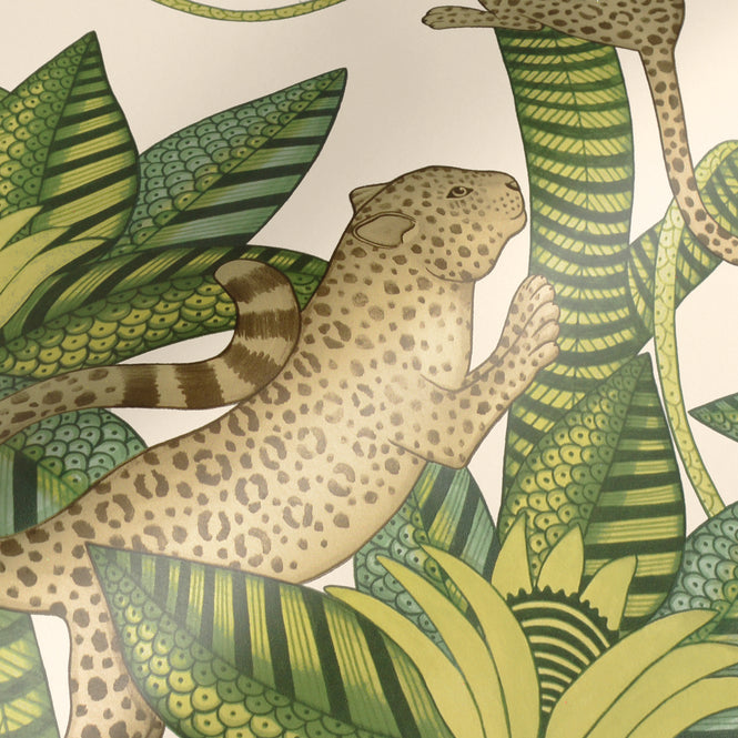 Cole&son / ARDMORE JABULA / SATARA 119/3015