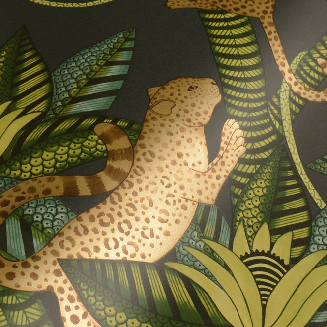 Cole&son / ARDMORE JABULA / SATARA 119/3016