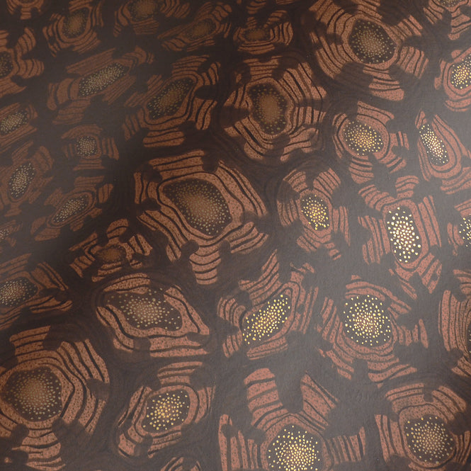 Cole&son / ARDMORE JABULA / SAVANNA SHELL 119/4018