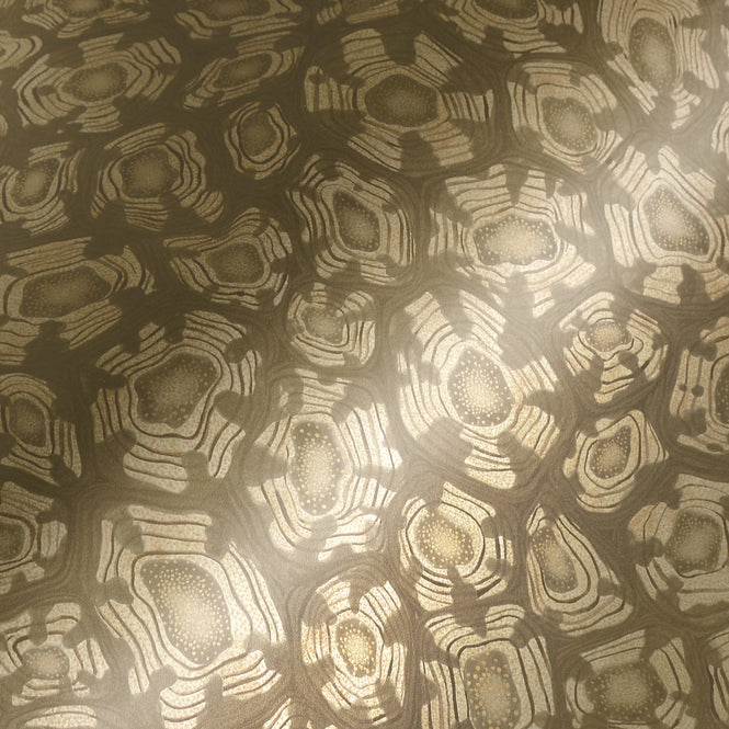 Cole&son / ARDMORE JABULA / SAVANNA SHELL 119/4020