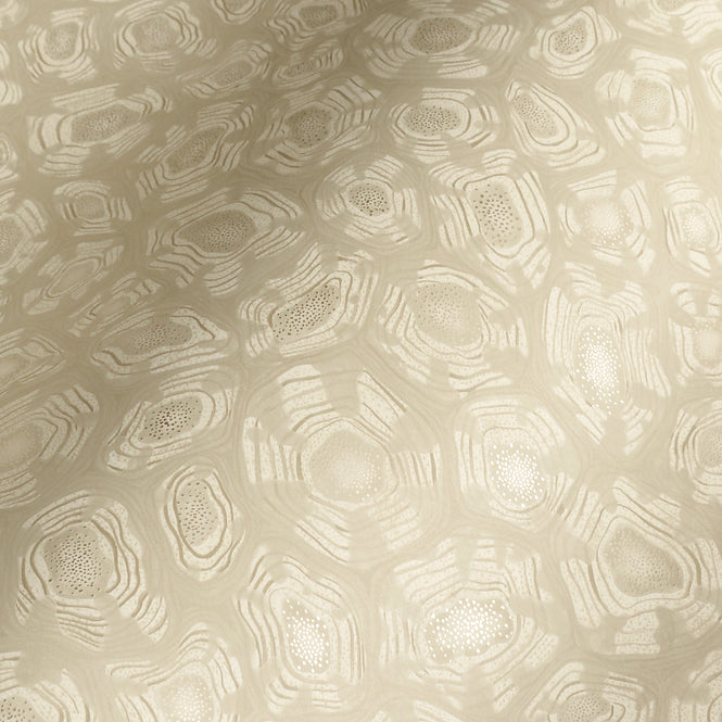 Cole&son / ARDMORE JABULA / SAVANNA SHELL 119/4021