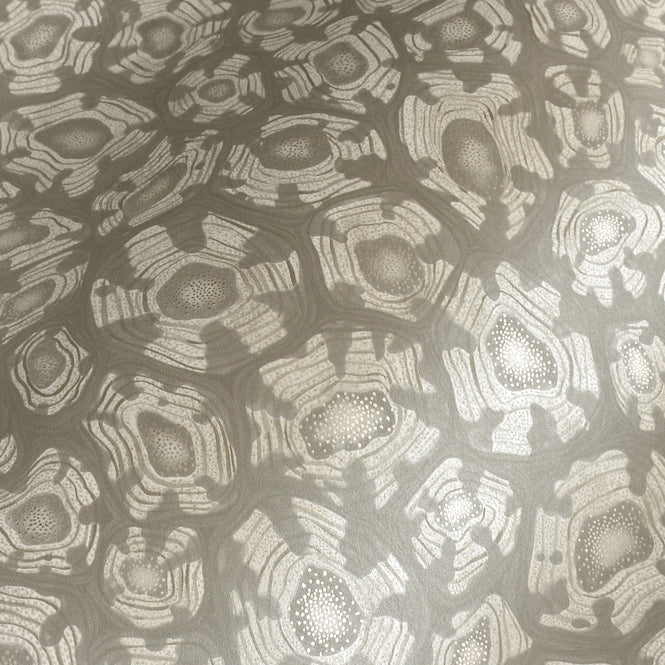 Cole&son / ARDMORE JABULA / SAVANNA SHELL 119/4022