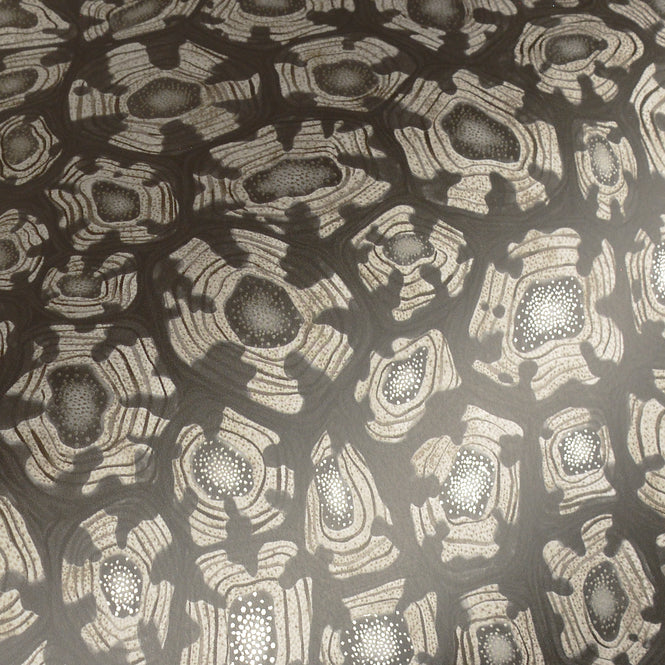 Cole&son / ARDMORE JABULA / SAVANNA SHELL 119/4023