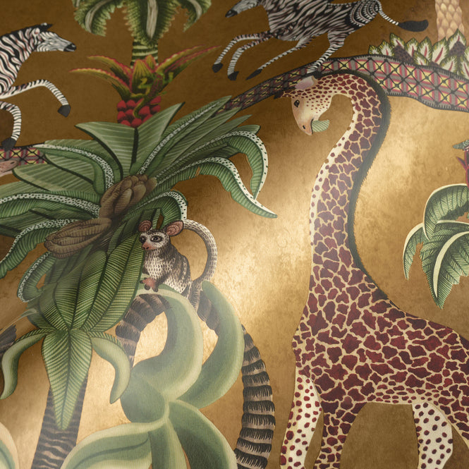 Cole&son / ARDMORE JABULA / AFRIKA KINGDOM 119/5025