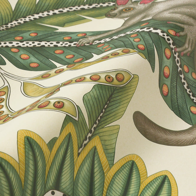 Cole&son / ARDMORE JABULA / BUSH BABY 119/7035