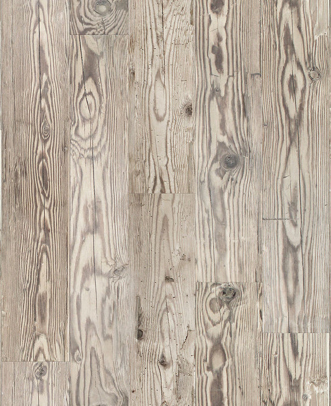 neoDKO / FACTORY Edition 2017 LIGHT MONTANA 1393E