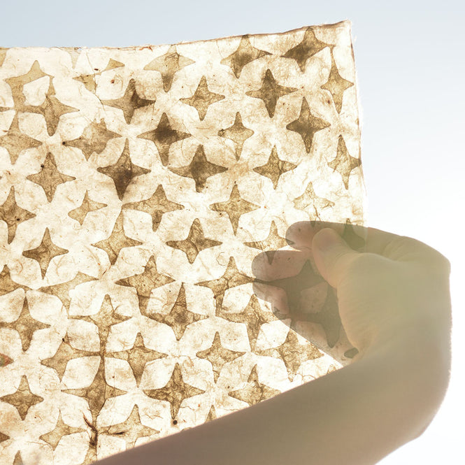 LE MONDE SAUVAGE de BEATRICE LAVAL / ルモンドソヴァージュ Star 1501 (12枚1セット)