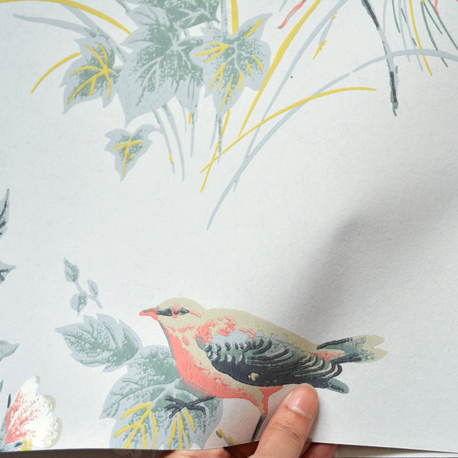 【1mサンプル】1838 Wallcoverings / Rosemore Rosemore 1601-100-05