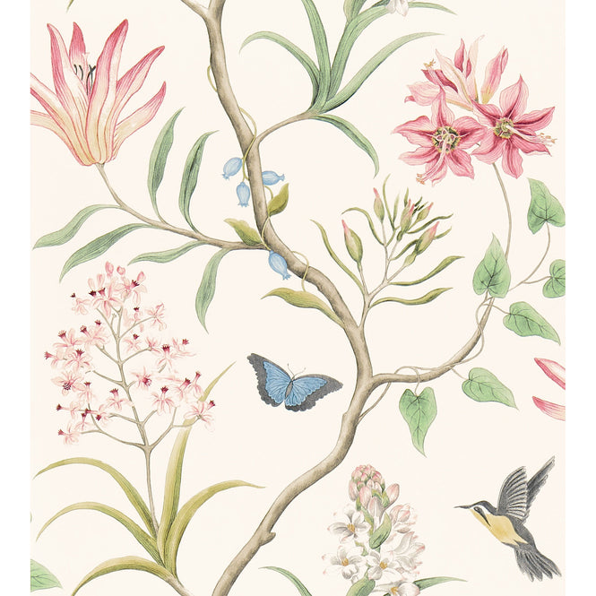 Sanderson / ONE SIXTY WALLPAPER COLLECTION / Clementine Chintz 213388