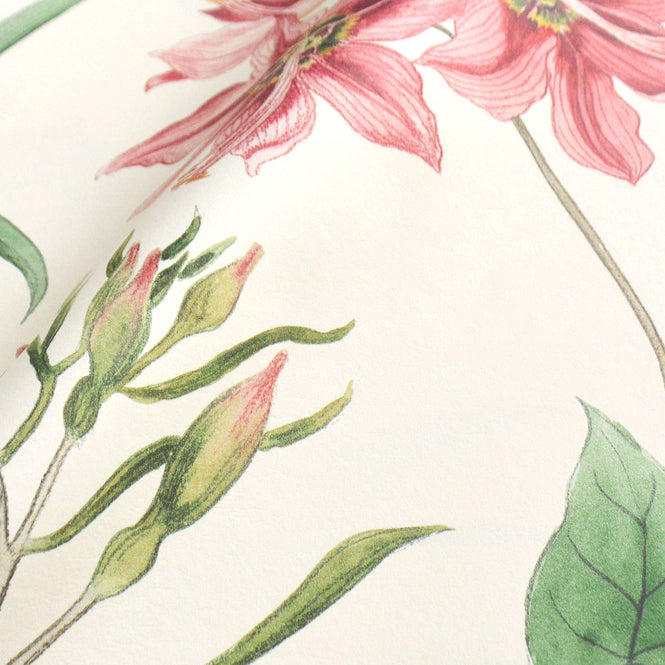 Sanderson / ONE SIXTY WALLPAPER COLLECTION / Clementine Chintz 213388