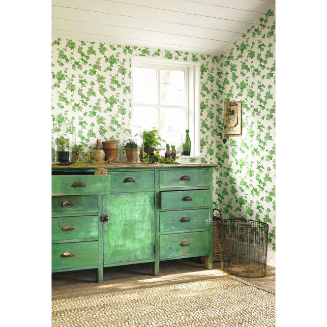Sanderson / ONE SIXTY WALLPAPER COLLECTION / Hedera Green 214593