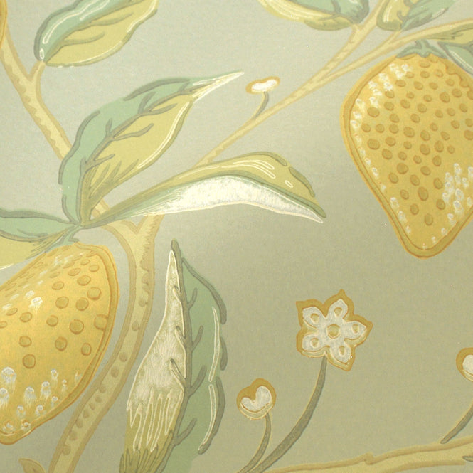 MORRIS & Co.(ウィリアム・モリス) / Archive Wallpapers 5 MELSETTER / Lemon Tree 216673
