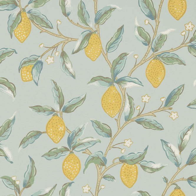 MORRIS & Co.(ウィリアム・モリス) / Archive Wallpapers 5 MELSETTER / Lemon Tree 216674