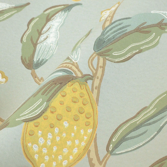 MORRIS & Co.(ウィリアム・モリス) / Archive Wallpapers 5 MELSETTER / Lemon Tree 216674