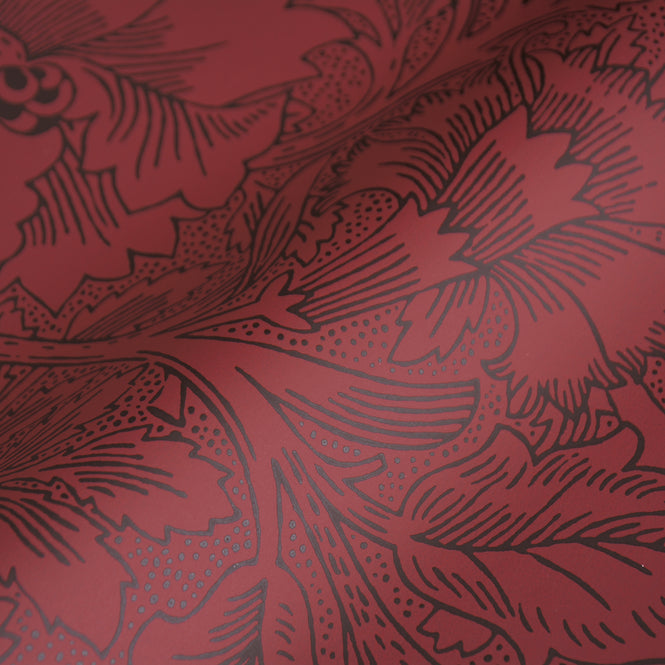 MORRIS & Co.(ウィリアム・モリス) / Ben Pentreath THE QUEEN SQUARE COLLECTION / Poppy 216956