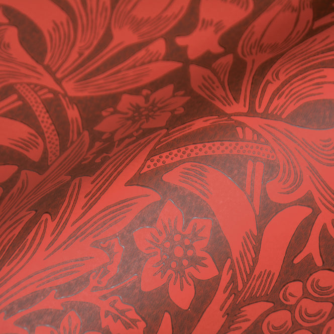 MORRIS & Co.(ウィリアム・モリス) / Ben Pentreath THE QUEEN SQUARE COLLECTION / Sunflower 216960