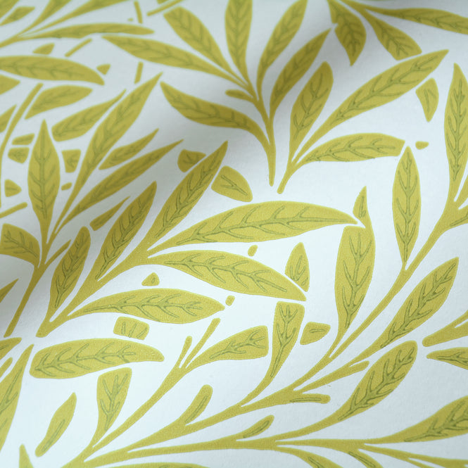 MORRIS & Co.(ウィリアム・モリス) / Ben Pentreath THE QUEEN SQUARE COLLECTION / Willow 216964