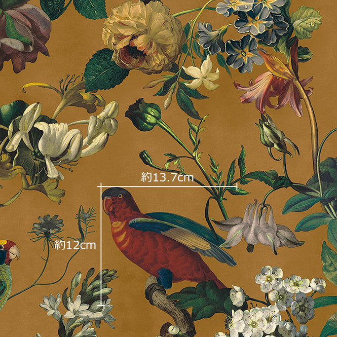 鳥のサイズ参照画像