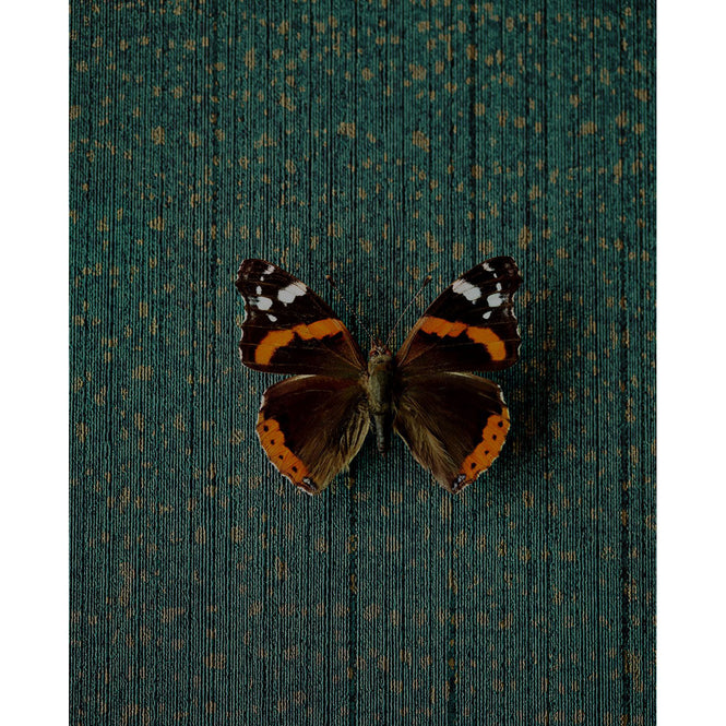 Eijffinger / MUSEUM / 358061(307351)(UTOPIA5)