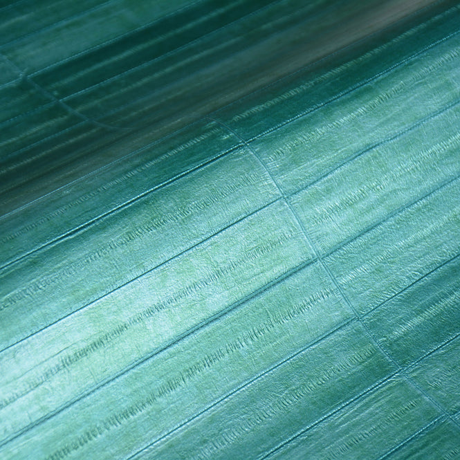 【1mサンプル】rasch ラッシュ / 418408 (Club)