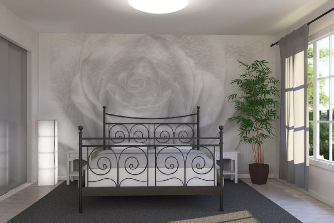 PHOTOWALL / High Key Rose (e1586)