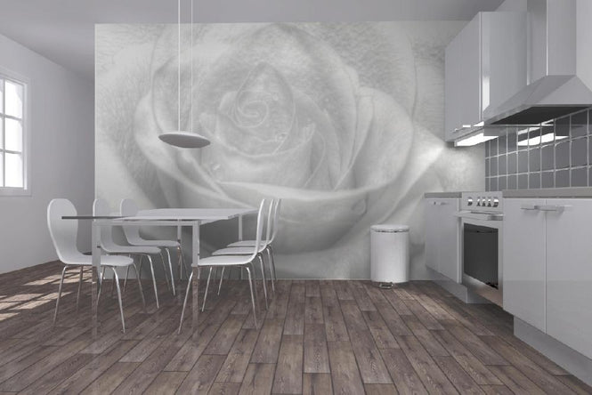 PHOTOWALL / High Key Rose (e1586)
