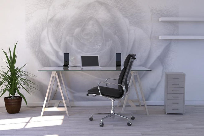 PHOTOWALL / High Key Rose (e1586)