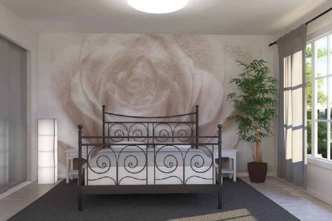 PHOTOWALL / High Key Rose (e1587)