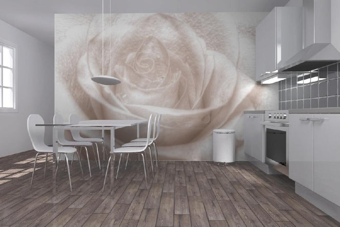 PHOTOWALL / High Key Rose (e1587)