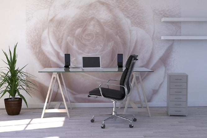 PHOTOWALL / High Key Rose (e1587)