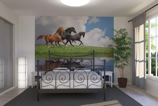 PHOTOWALL / Gallop Horses (e19102)