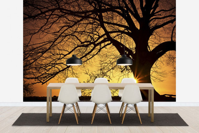 PHOTOWALL / Silhouette of a Willow Tree in Sunset (e19126)