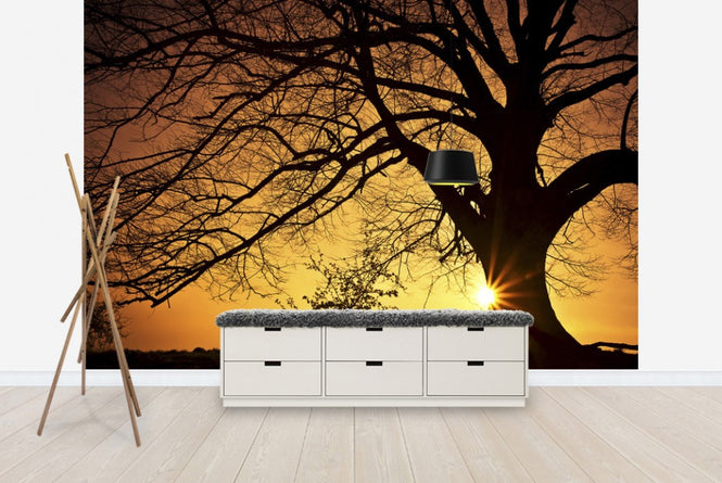 PHOTOWALL / Silhouette of a Willow Tree in Sunset (e19126)