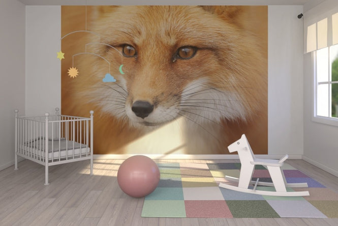 PHOTOWALL / Red Fox (e19131)