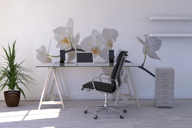 PHOTOWALL / White Orchid Stem (e1954)
