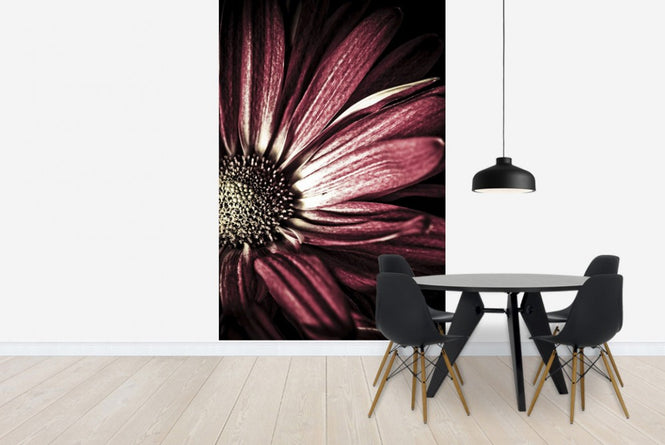 PHOTOWALL / Dark Daisy (e1972)