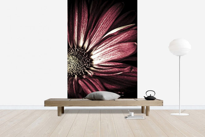 PHOTOWALL / Dark Daisy (e1972)