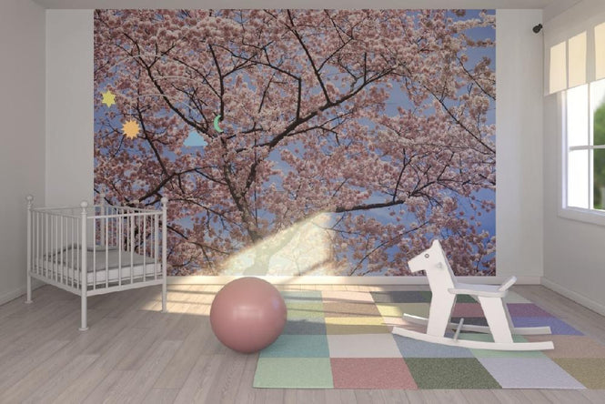 PHOTOWALL / Blooming Cherry Tree (e6249)