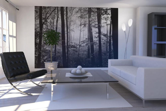 PHOTOWALL / Early Morning - b/w (e6257)