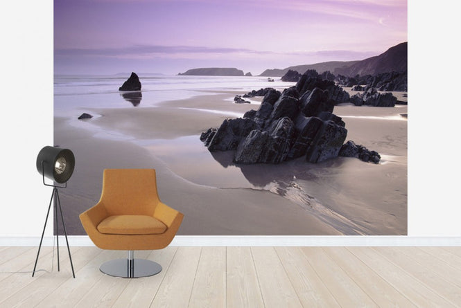 PHOTOWALL / Pembrokeshire (e6334)