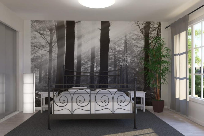 PHOTOWALL / Morning Sunshine - b/w (e6351)