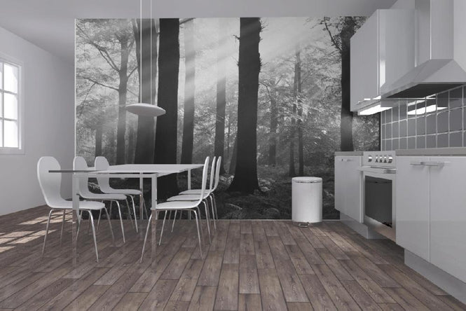 PHOTOWALL / Morning Sunshine - b/w (e6351)